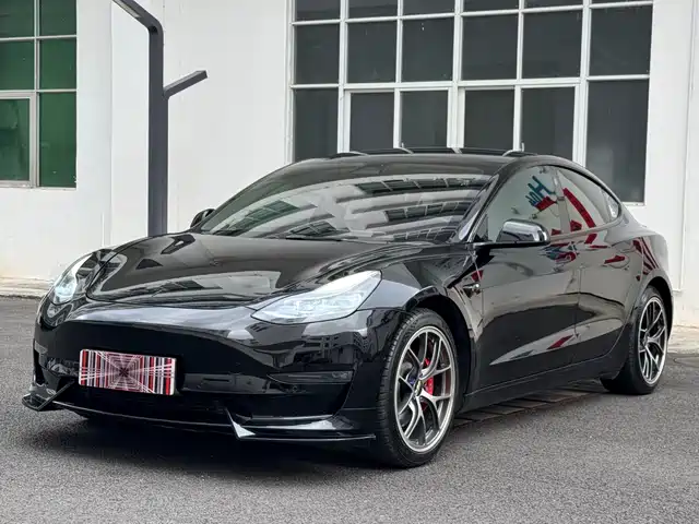 Tesla Model 3 Performance, высокопроизводительный полный привод