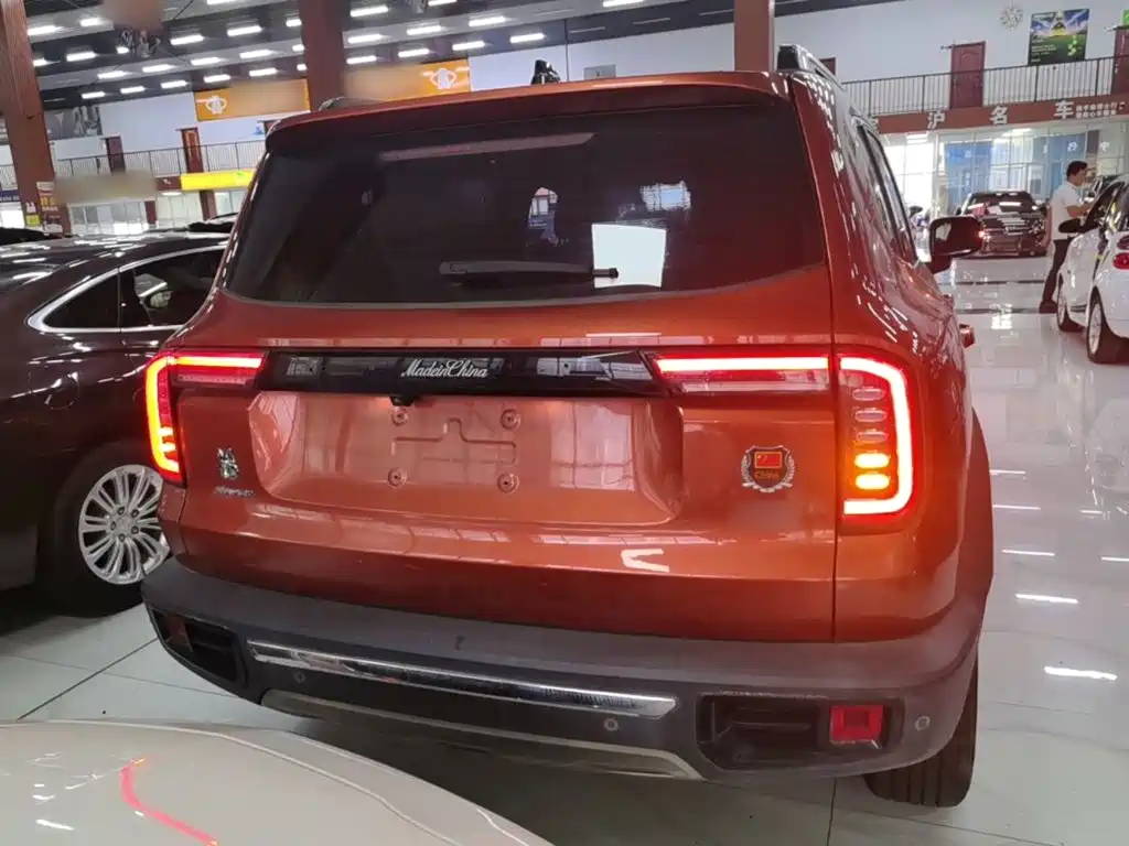 Haval Dargo 2021 2021 2.0T DCT 4WD Chinese Rural Dog Edition