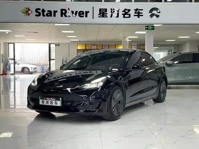 Tesla Model 3 2021