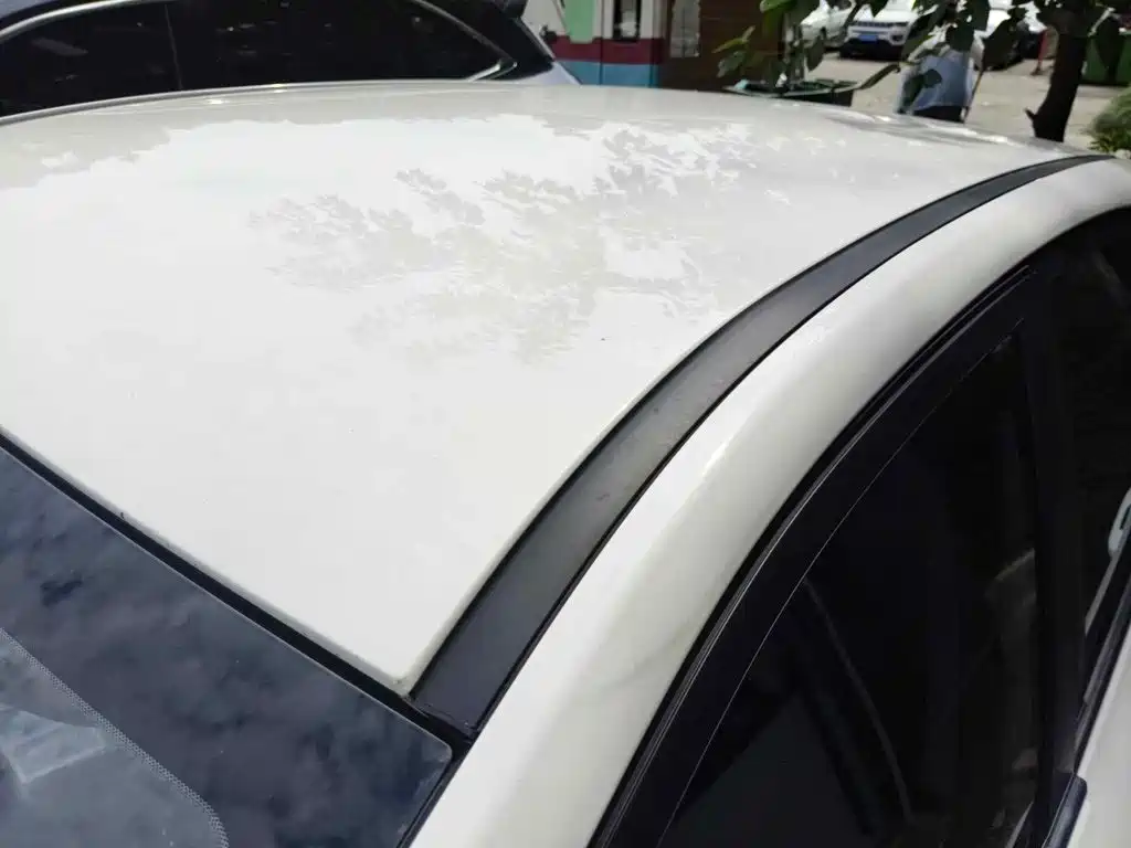 Nezha Auto Nezha V 2022 2022 Tide 300 Lite Ternary Lithium