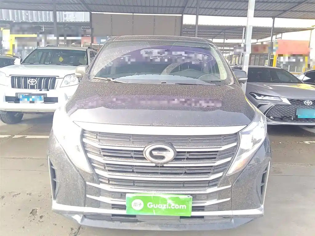 GAC Trumpchi Trumpchi M8 2021 Leading Show Series 390T Ultimate Edition фото 3