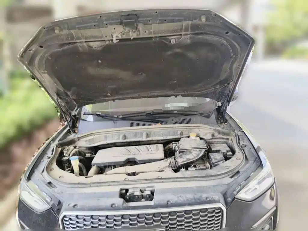 Haval F5 2019 2018 1.5T i-Trend