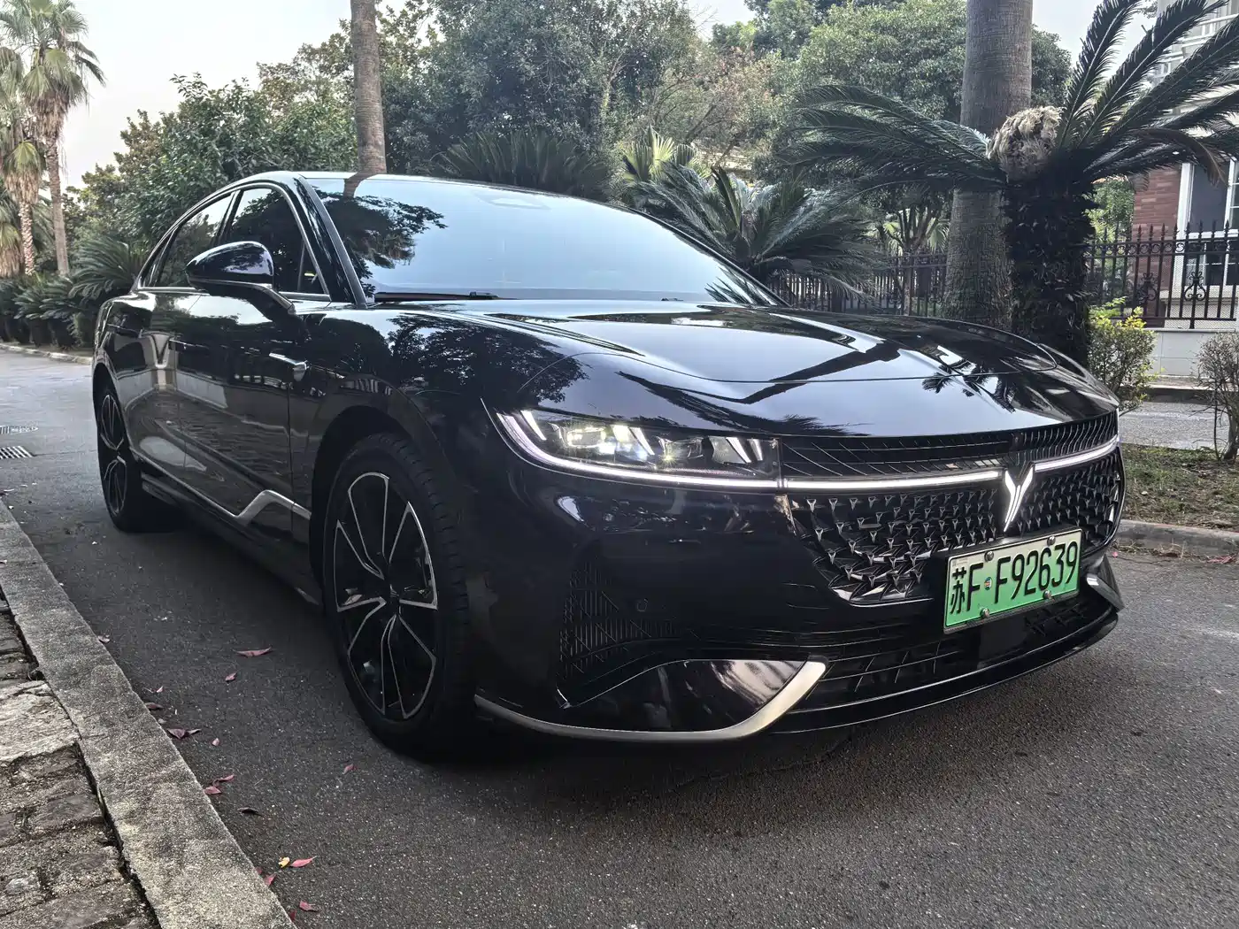 Voyah Passion 2024 2024 PHEV AWD Ultra Long Range Flagship