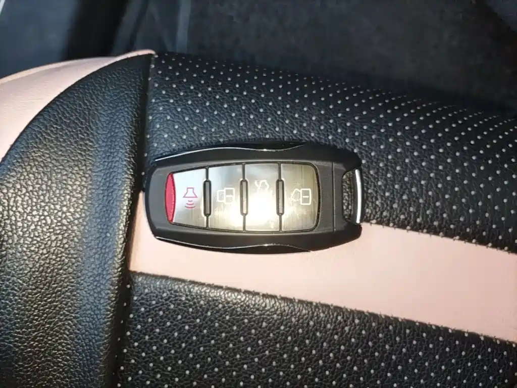 Ora Black Cat 2021 2021 351km Luxury Model