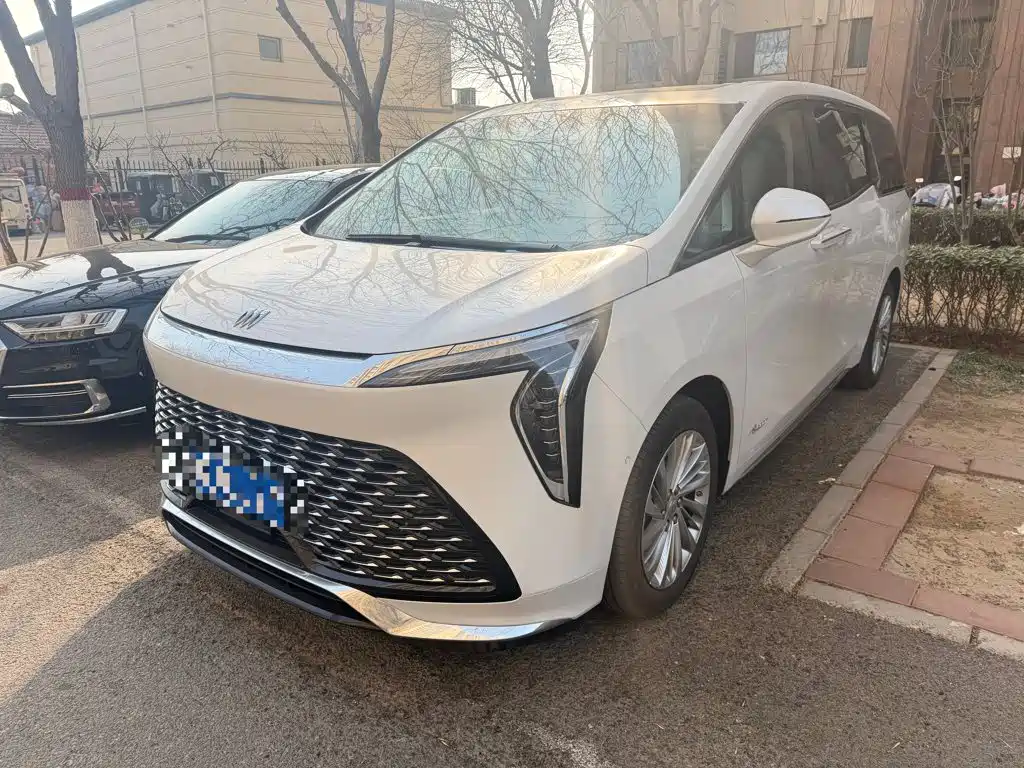 Buick Century 2025 2025 2.0T 7-Seater World Edition