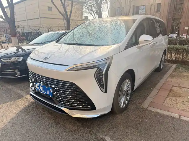 Buick GL8 Century 2.0T, 7 мест