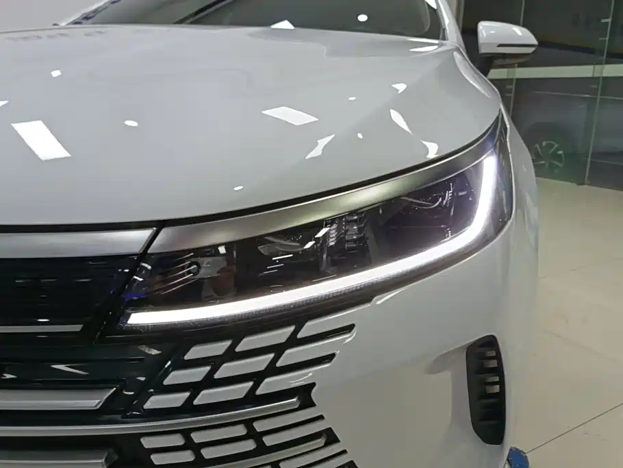 BYD Destroyer 05 2024 2023 Champion Edition DM-i 55KM Luxury