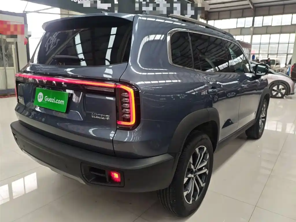 Haval Big Dog 2024 1.5T DCT Border Collie Edition фото 7
