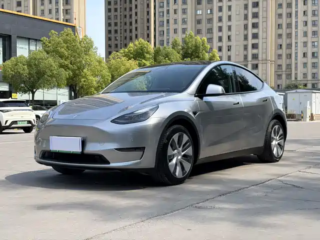 Tesla Model Y Стандартный запас хода, задний привод