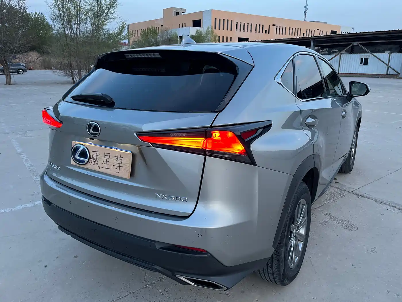 Lexus NX 2018 Model 300 FWD Fengxing Edition фото 13