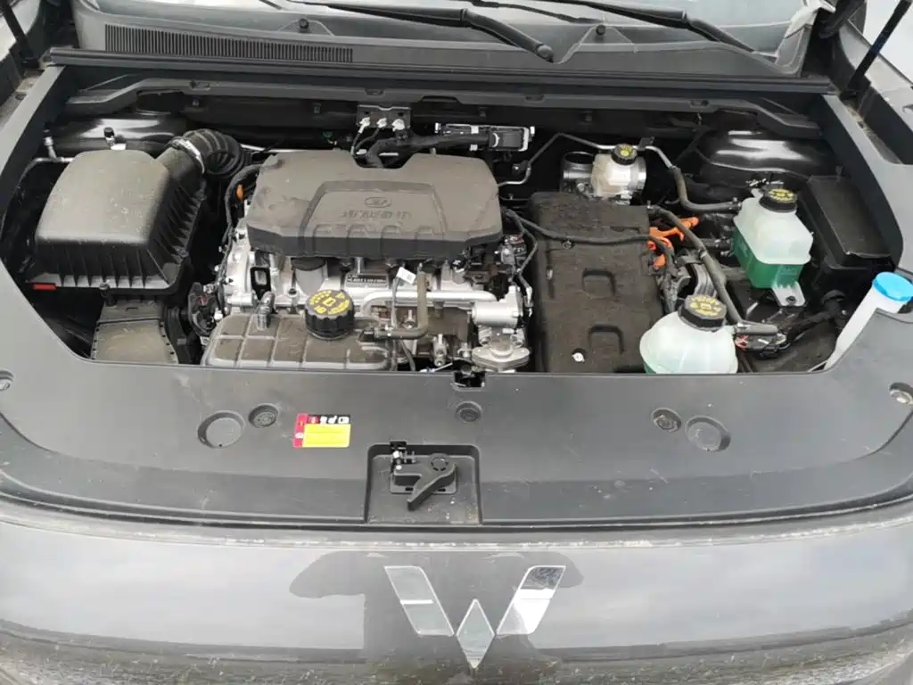 Wuling Motors Wuling Xingguang S 2025 2024 130km Flagship Model