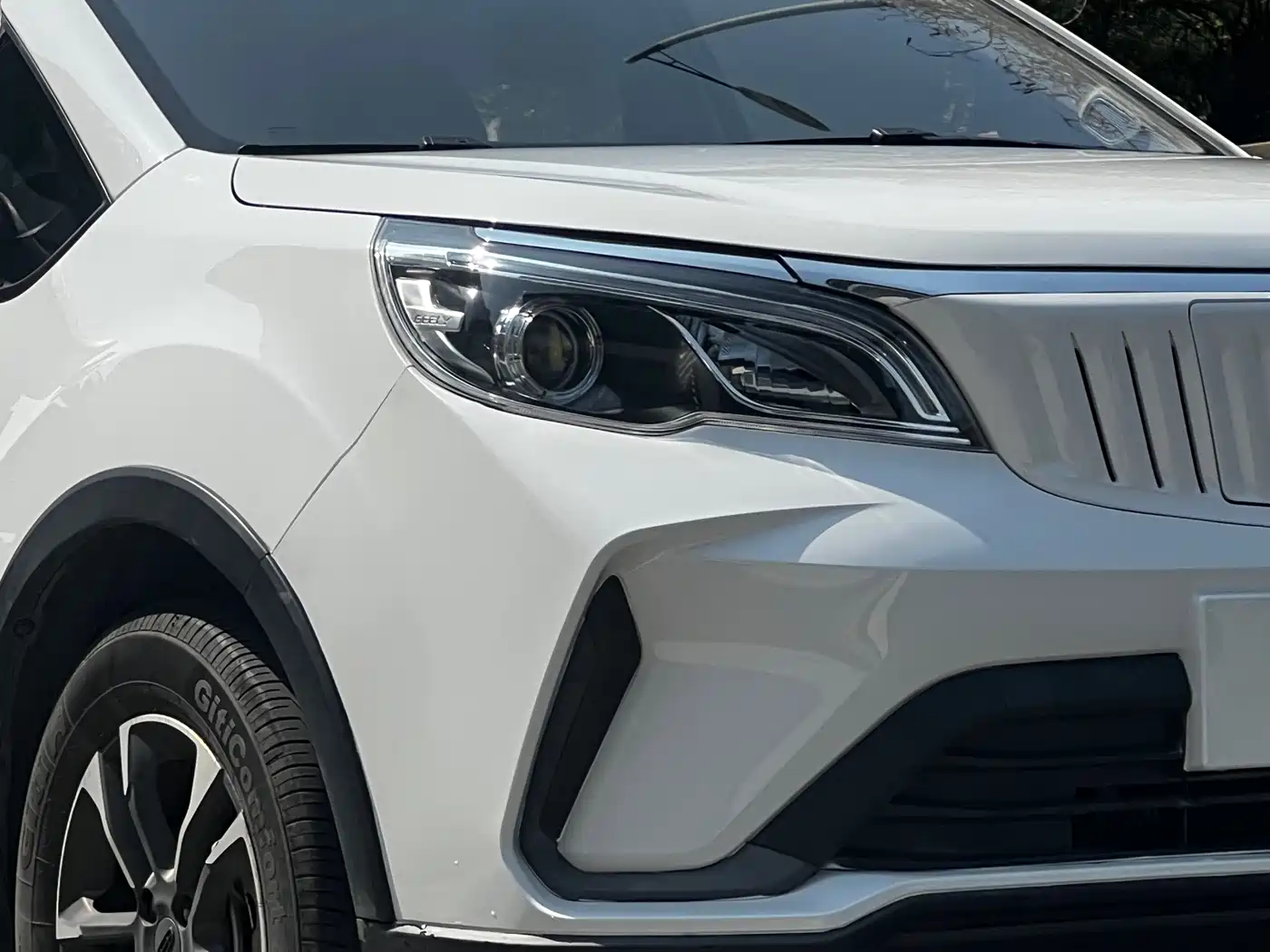 GEELY GEOMETRY EX3 KUNG FU COW