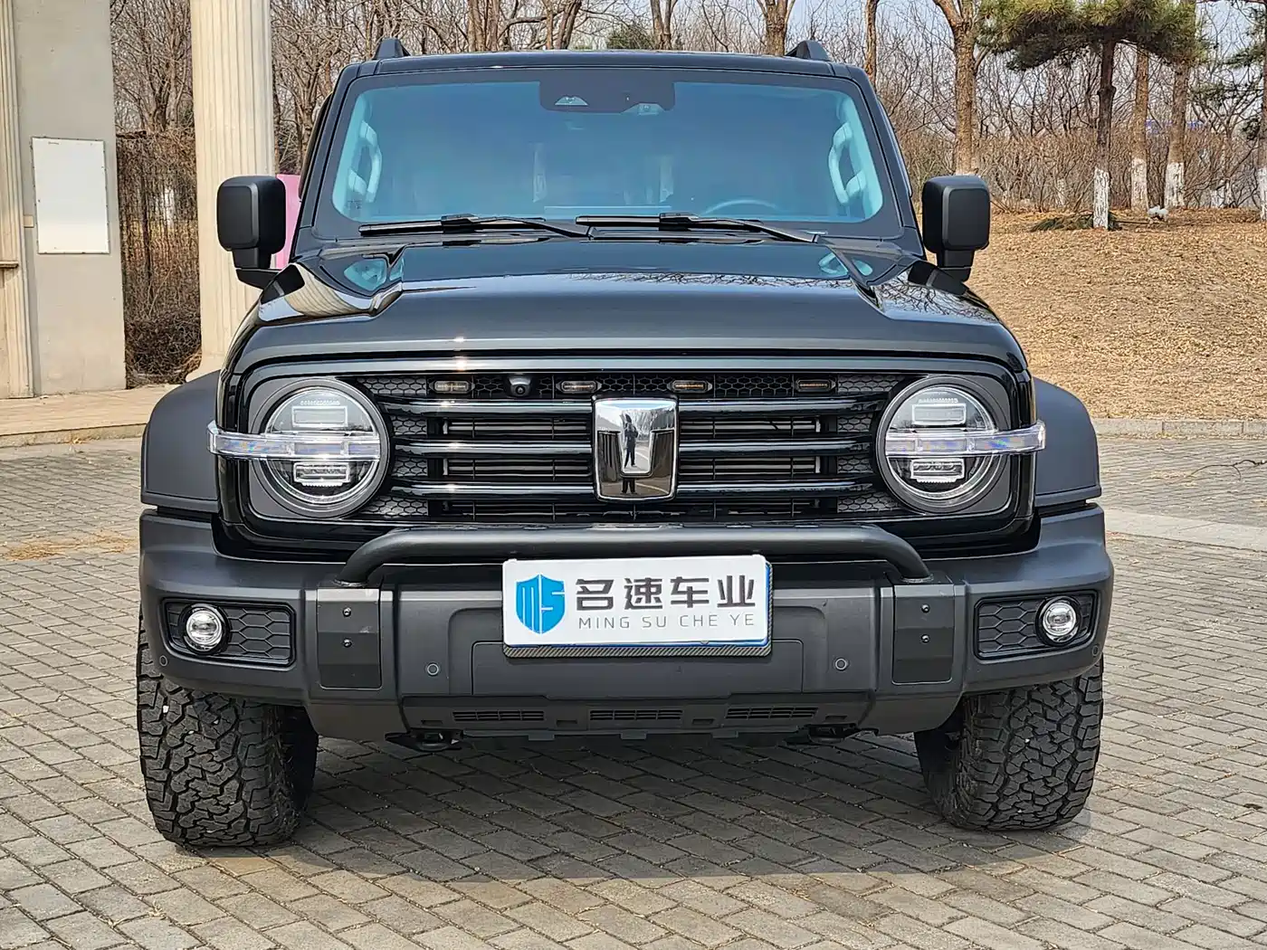 Tank 300 2025 2.0T Challenger фото 2