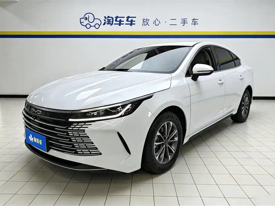 BYD Destroyer 05 2024 Glory Edition DM-i 55KM Luxury