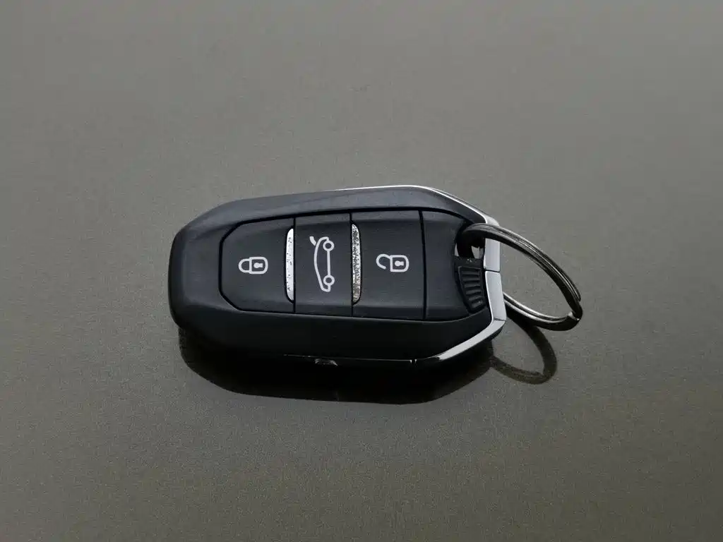 DS 5LS 2014 2014 1.6T Luxury THP160