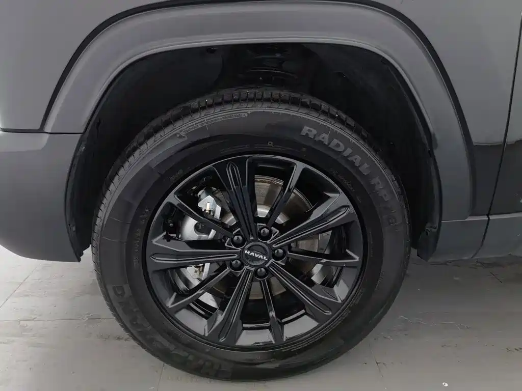 Haval Raptor 2025 2024 Hi4 102 Pro