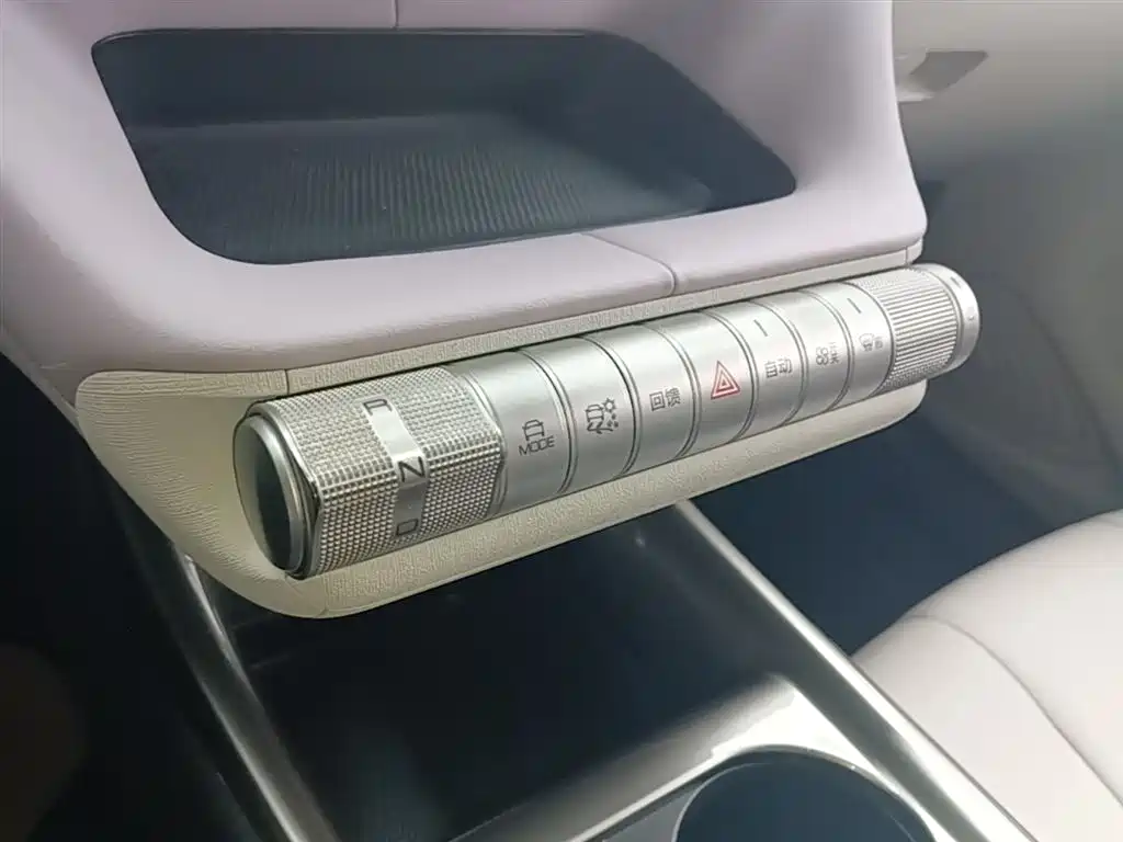 BYD Dolphin 2021 Model 405km Fashion Edition фото 14
