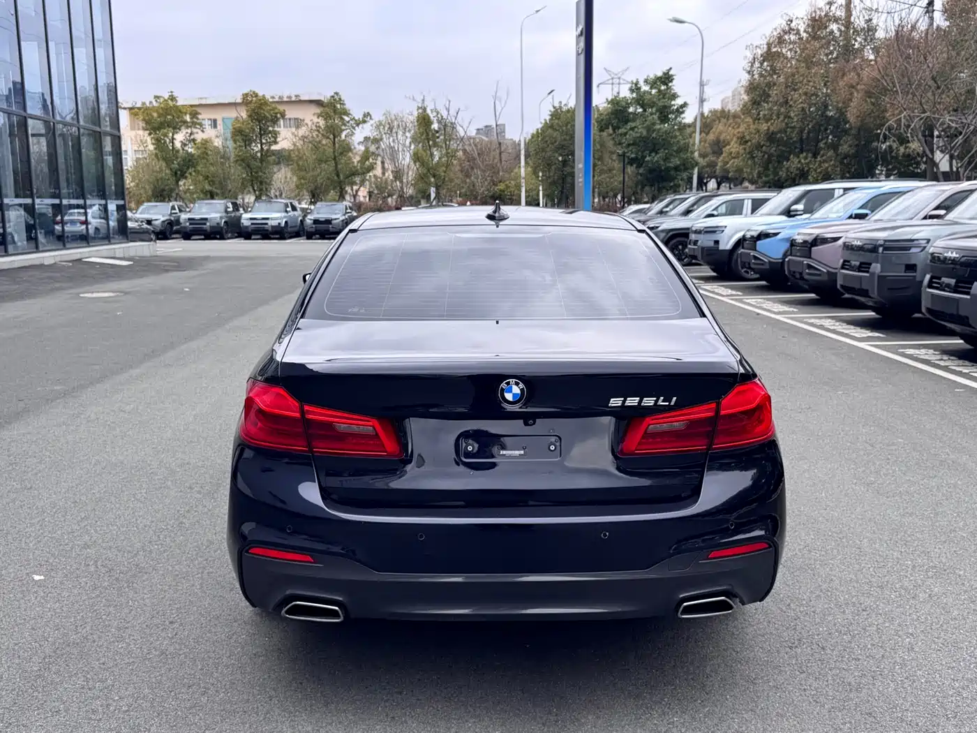 BMW 5 Series 2018 525Li Luxury Package фото 19