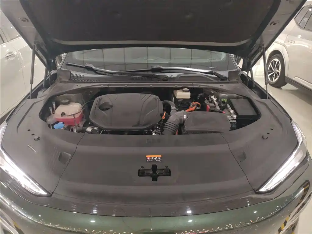 Geely Galaxy Galaxy Xingyao 8 2025 130km EM-i Premium Edition фото 16