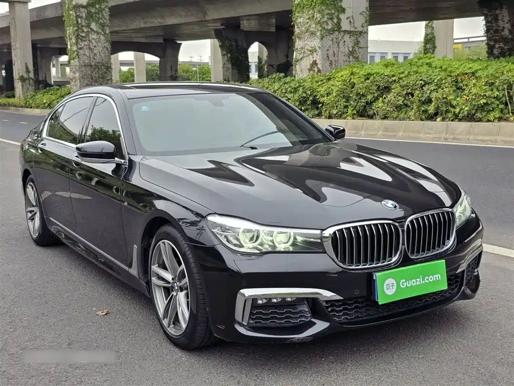 BMW 7 Series 2018 730Li Leading Type M Sport Package фото 21