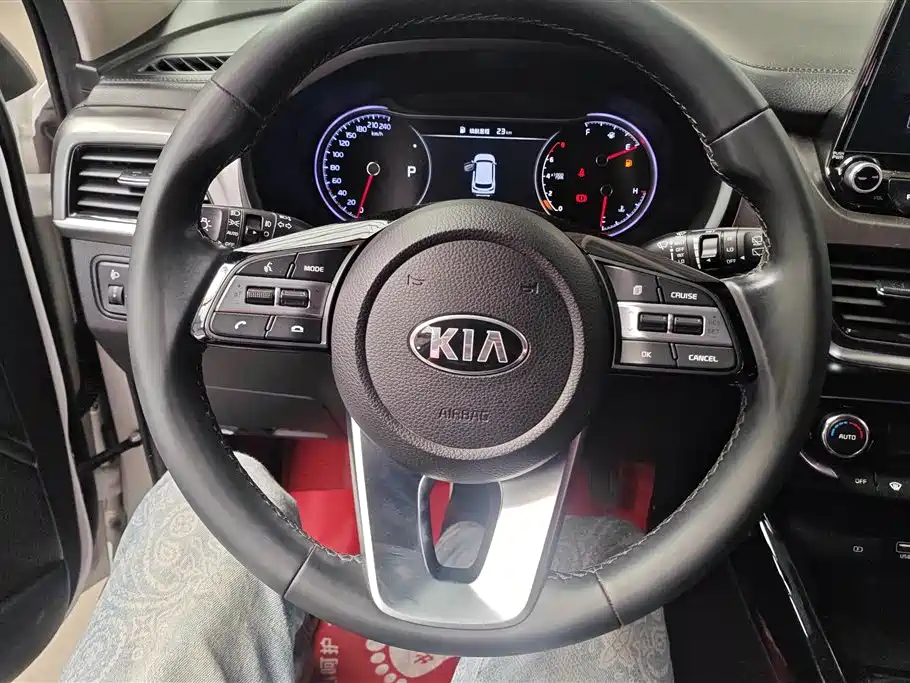 Kia Sportage 2018 2.0L Automatic Smart Luxury (China V) фото 15