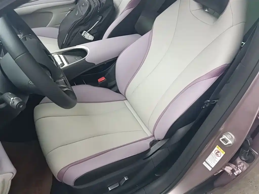 BYD Dolphin 2021 Model 405km Fashion Edition фото 15
