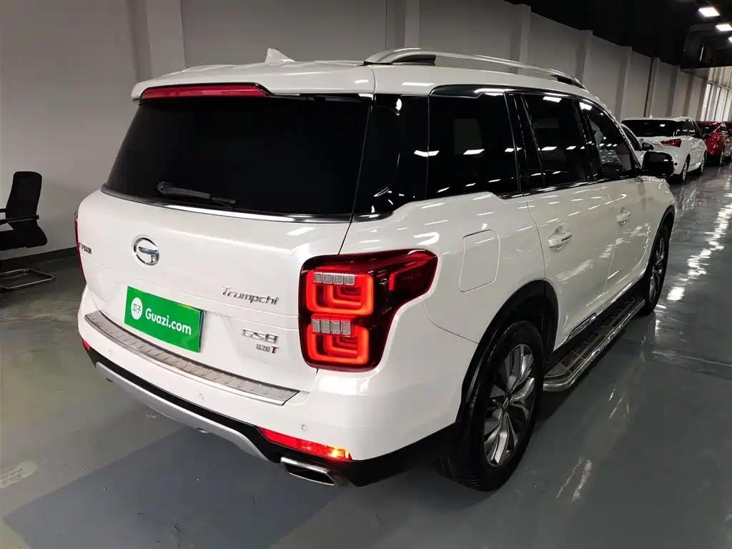 GAC Trumpchi Trumpchi GS8 2017 320T 2WD Luxury Smart Connect (7-seater) фото 7