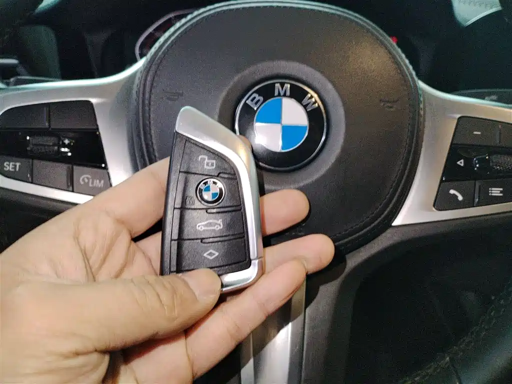 BMW 3 Series 2020 320Li M Sport Package фото 9