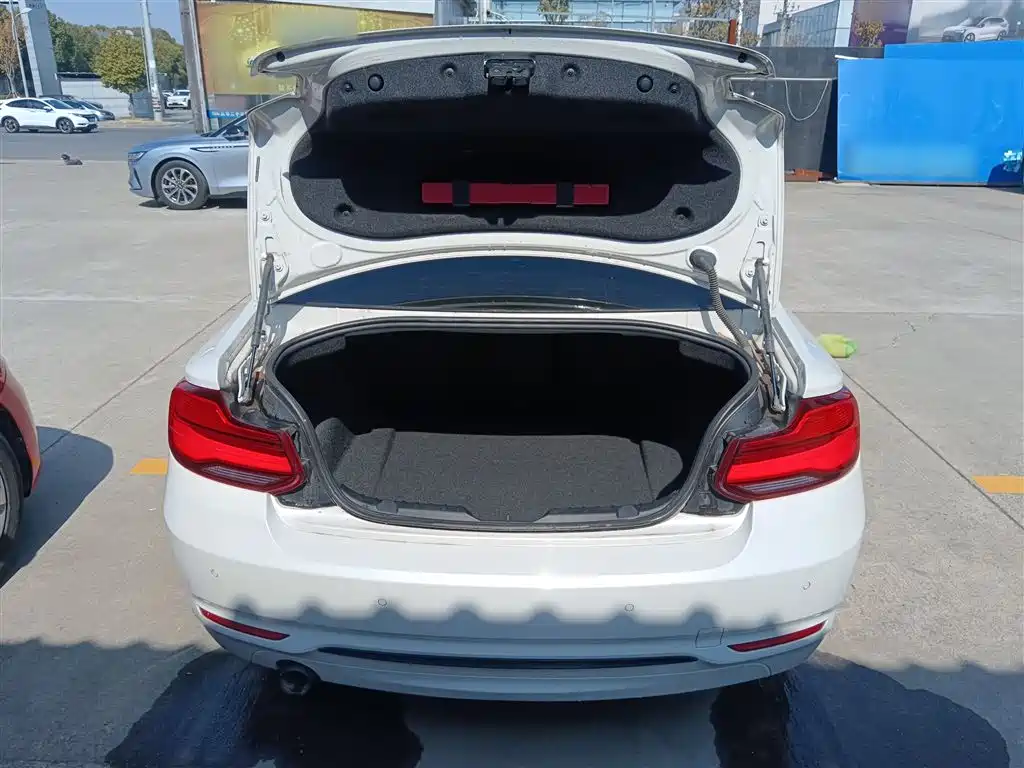 BMW 2 Series (Import) 2018 220i Sport Design Package фото 15