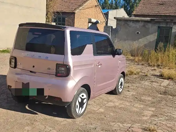 Geely Galaxy Panda 2026 2025 Model Year 210km Panda Knight