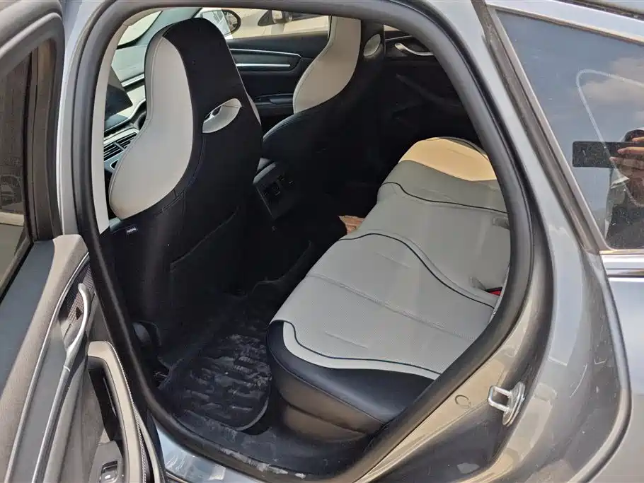 BYD Destroyer 05 2024 Glory Edition DM-i 55KM Luxury фото 11