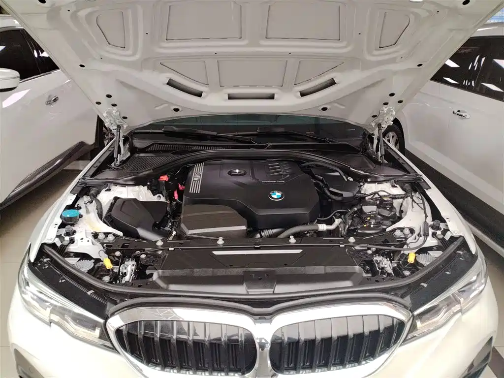BMW 3 Series 2020 320Li M Sport Package фото 20