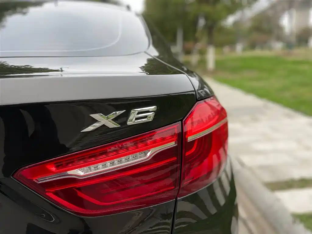 BMW X6 2017 xDrive35i Leading фото 8