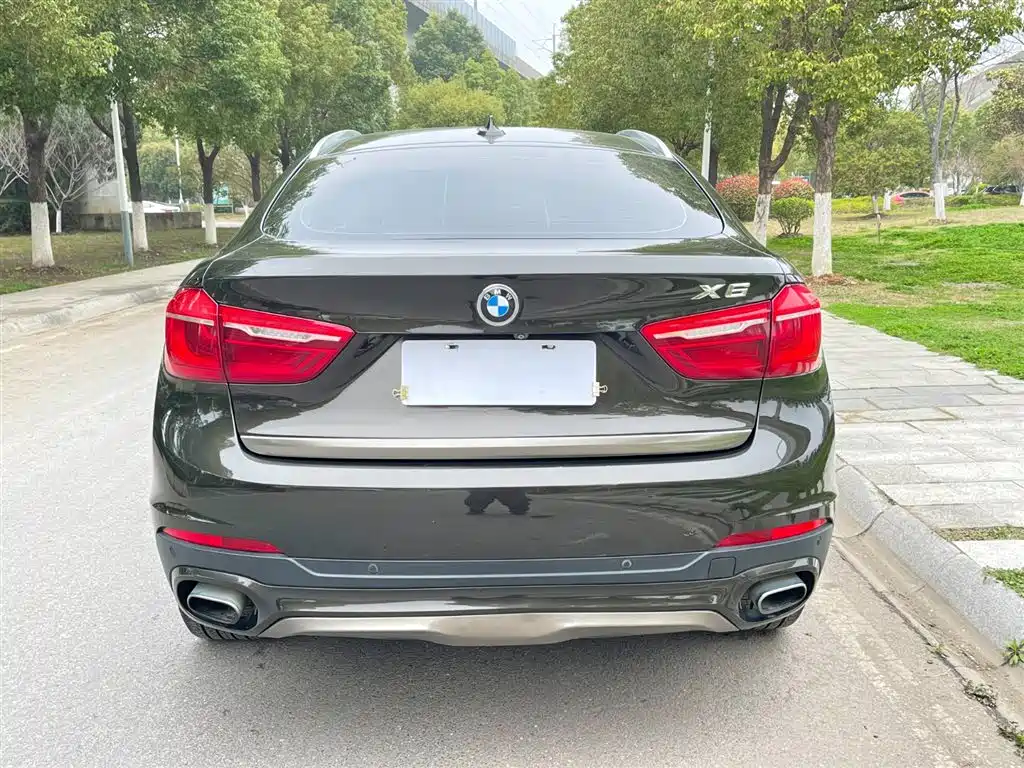 BMW X6 2017 xDrive35i Leading фото 6