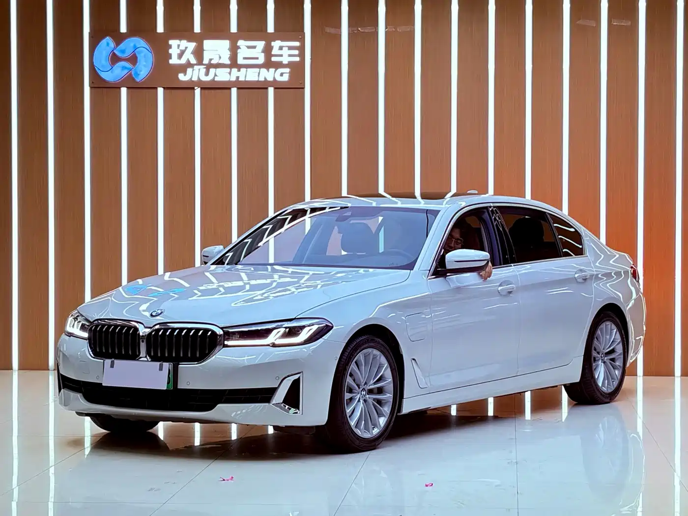 BMW 5 Series New Energy 2021