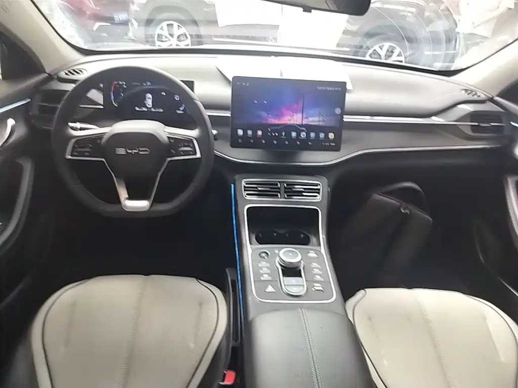BYD Destroyer 05 2024 Glory Edition DM-i 55KM Luxury фото 10