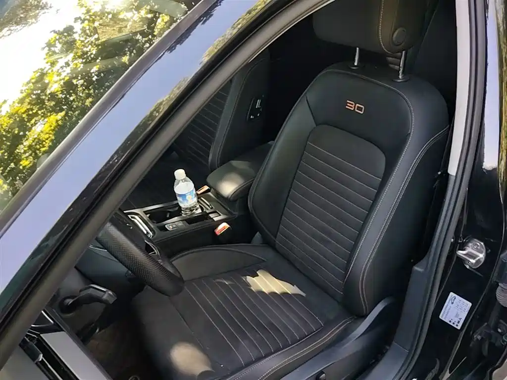 Volkswagen Magotan 2021 330TSI DSG 30th Anniversary Edition фото 15