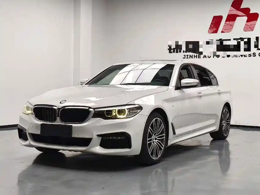 BMW 5 Series 2019 530Li Leading M Sport Package