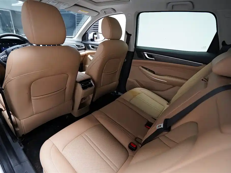 Landian E5 2024 2024 Glory Edition 100KM Comfort Type 7-Seater