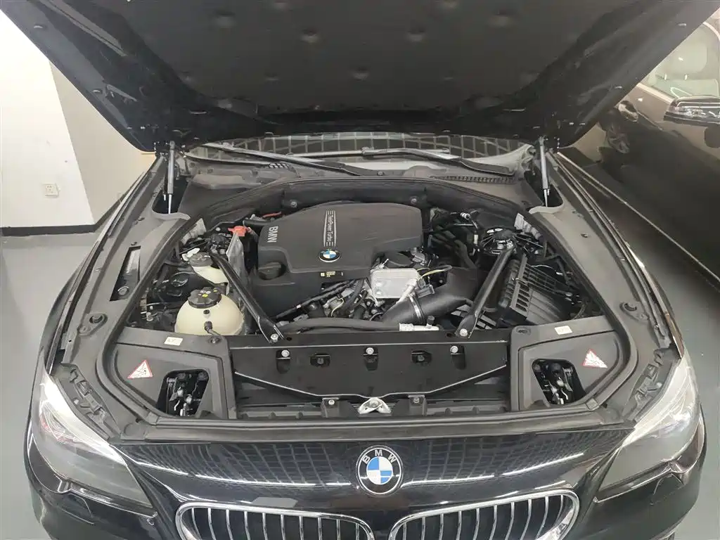 BMW 5 Series 2014 520Li Elegance фото 20
