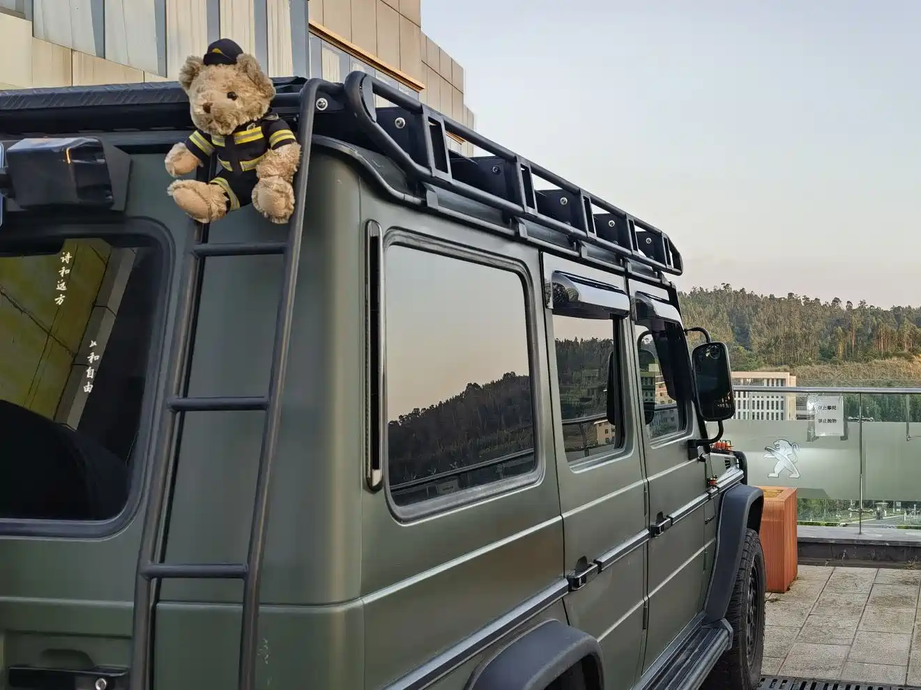 Mercedes-Benz G-Class 2004 G 500 фото 6
