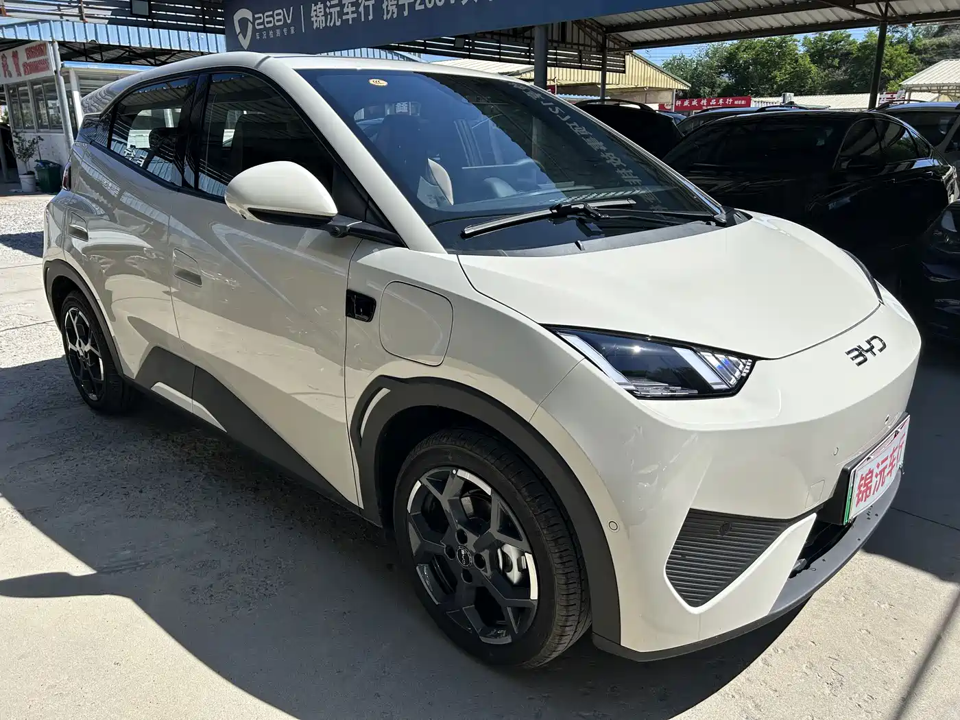 BYD Seagull 2025 Smart Drive Edition 305km Freedom Version фото 3