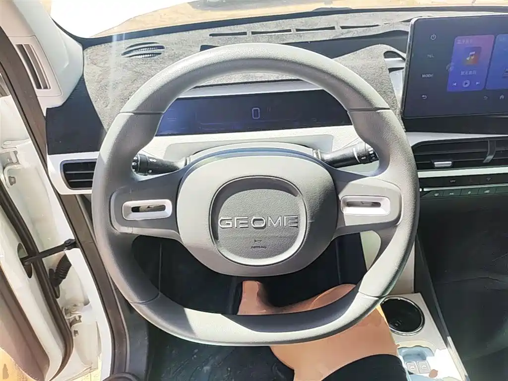 Geely Galaxy Panda 2025 Panda mini 210km Vitality Bear фото 11