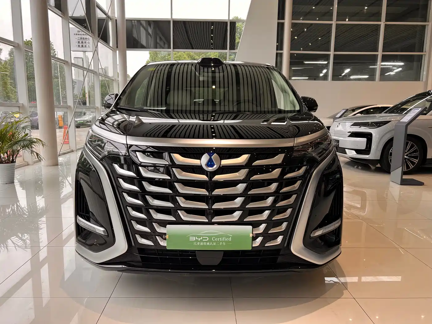 Denza D9 2025 DM-i Smart Drive Edition 1020 AWD Prestige фото 2