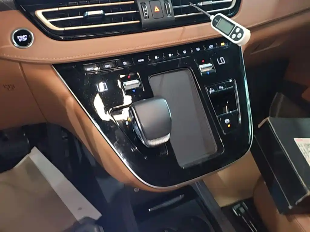 Hongqi HQ9 PHEV 2024 Model 2.0T AWD Business Edition фото 14