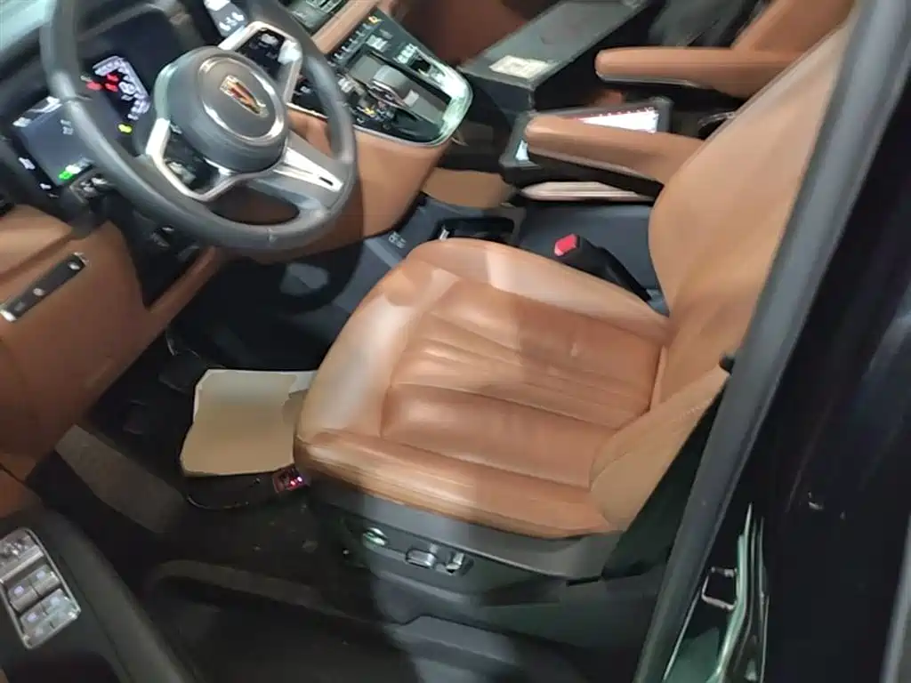 Hongqi HQ9 PHEV 2024 Model 2.0T AWD Business Edition фото 15