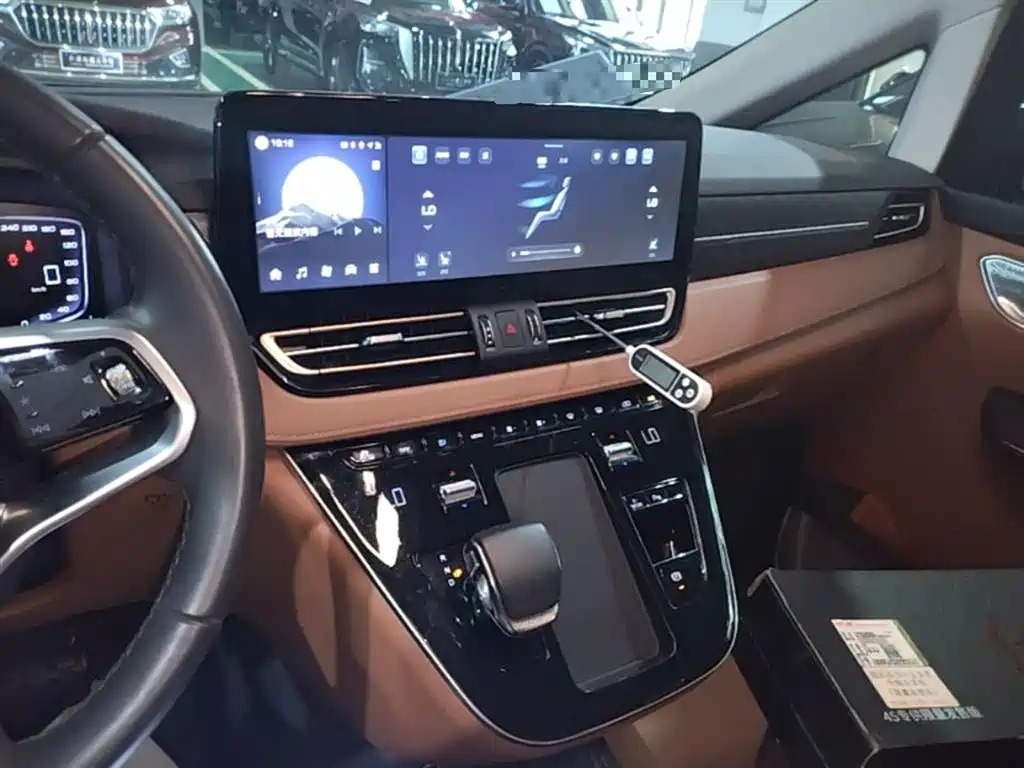 Hongqi HQ9 PHEV 2024 Model 2.0T AWD Business Edition фото 13