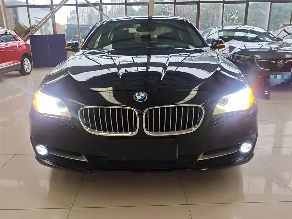 BMW 5 Series 2014 520Li Elegance фото 3