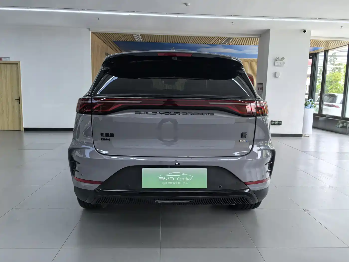 BYD Tang New Energy 2025 DM-i 115KM Flagship фото 3