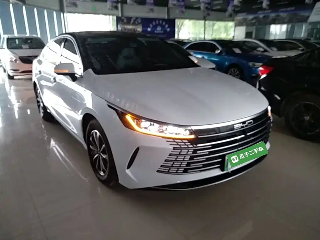 BYD Destroyer 05 2025 Model DM-i 55KM Smooth Ride Edition фото 4